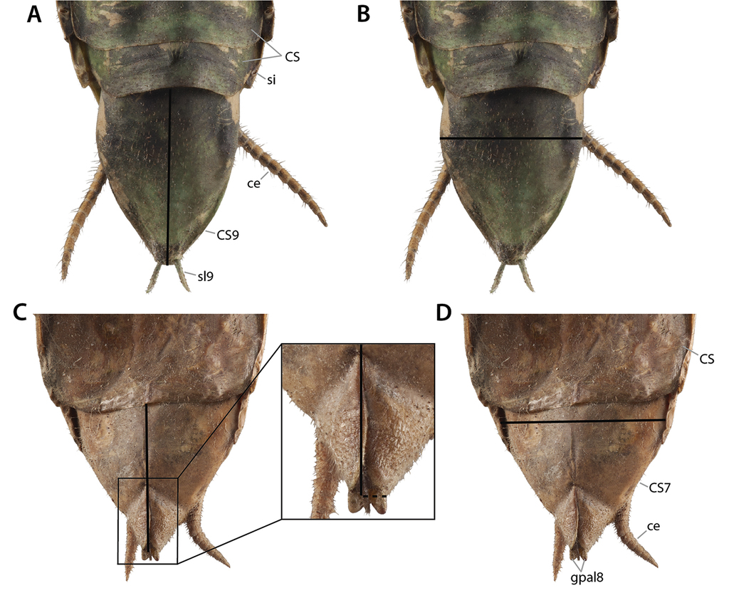 Praying Mantis Bending Core Breakoff and Retention Mechanism
