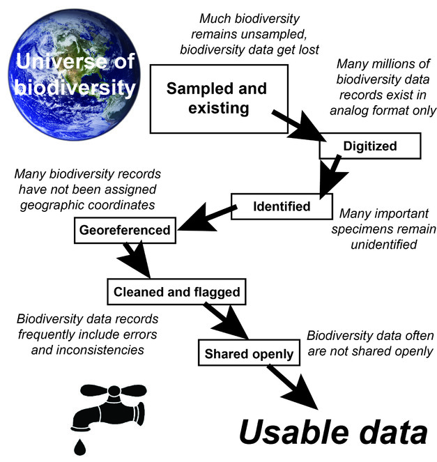 Biodiversity Data: Closing the Information Gap - XAnge
