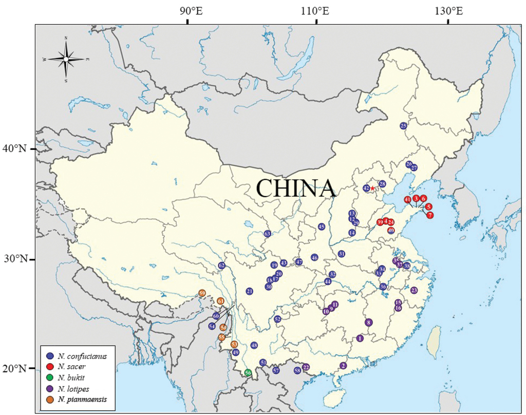 Niviventer confucianus sacer (Rodentia, Muridae) is a distinct 