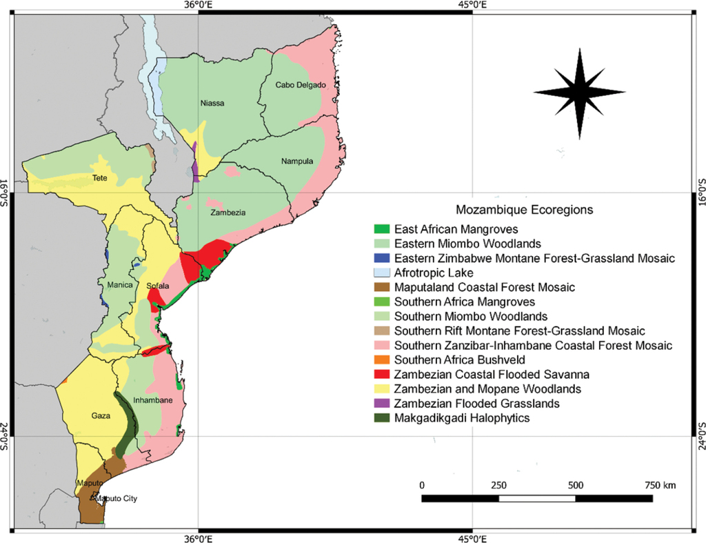 An updated checklist of Mozambique's vascular plants