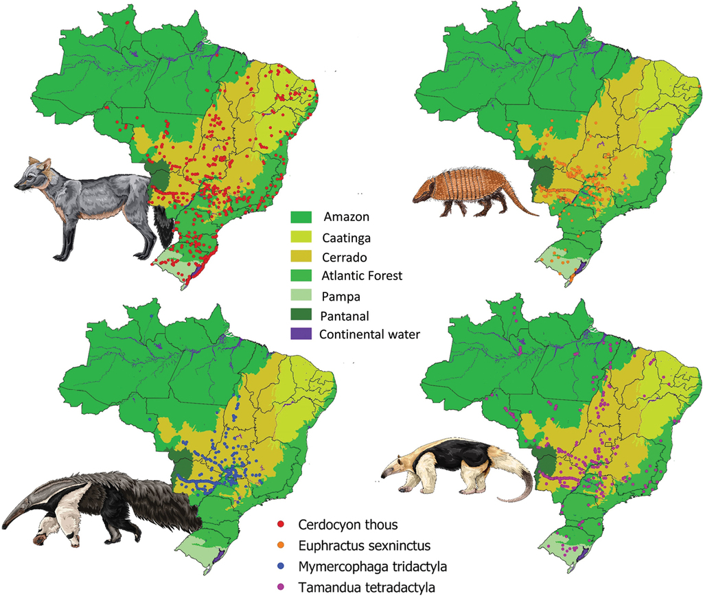 Do the roadkills of different mammal species respond the same way to  habitat and matrix?