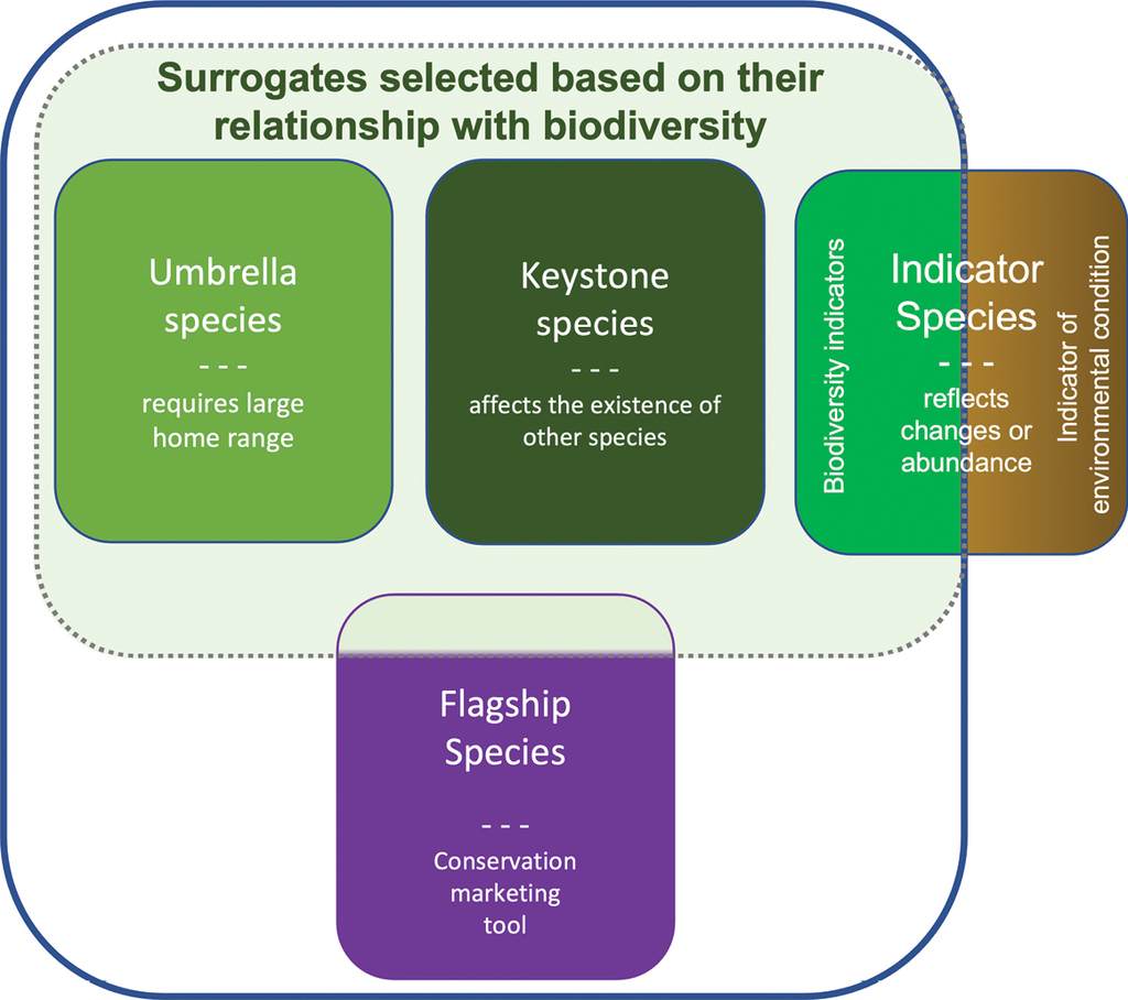 Saving Endangered Keystone Species: Key to Ecosystem Restoration